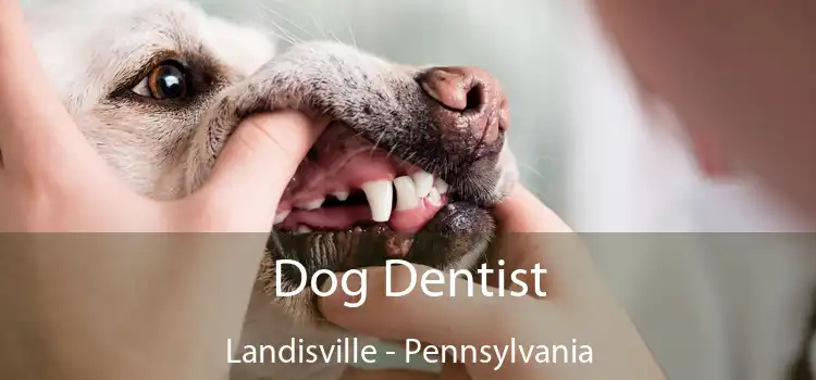 Dog Dentist Landisville - Pennsylvania