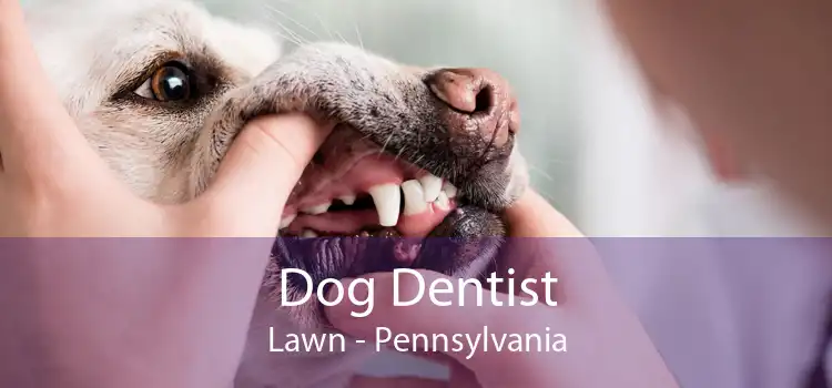 Dog Dentist Lawn - Pennsylvania