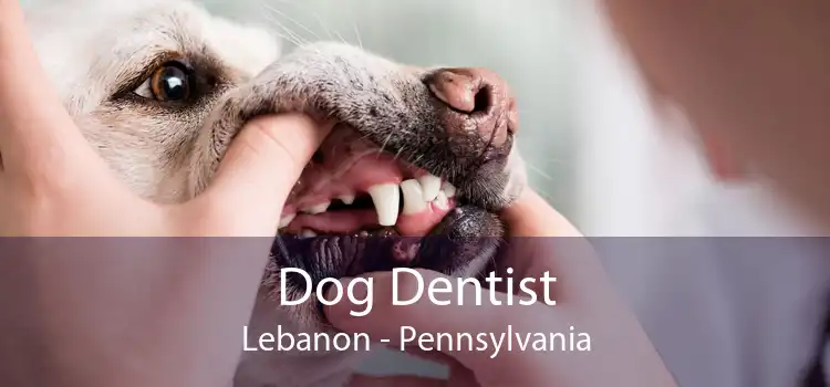 Dog Dentist Lebanon - Pennsylvania
