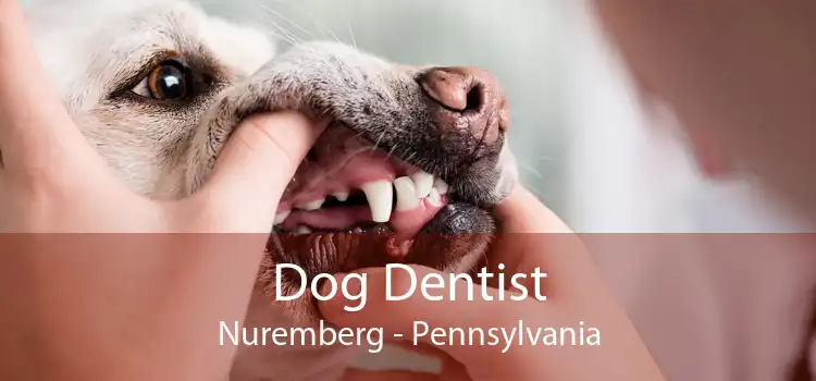 Dog Dentist Nuremberg - Pennsylvania