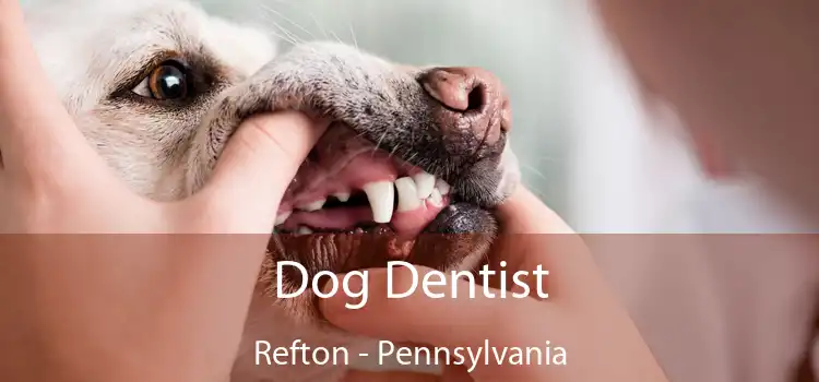 Dog Dentist Refton - Pennsylvania