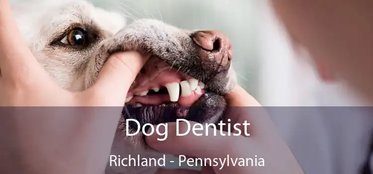 Dog Dentist Richland - Pennsylvania