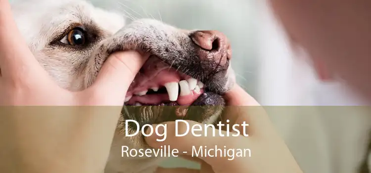 Dog Dentist Roseville - Michigan