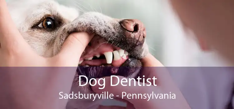 Dog Dentist Sadsburyville - Pennsylvania
