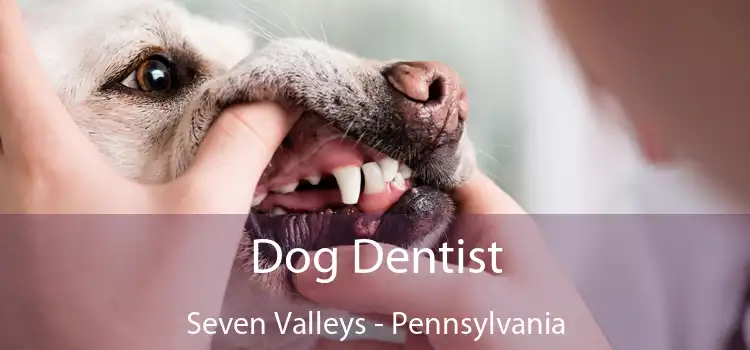 Dog Dentist Seven Valleys - Pennsylvania