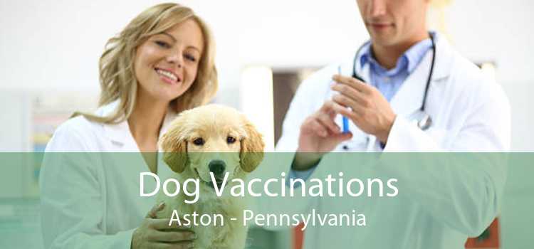 Dog Vaccinations Aston - Pennsylvania