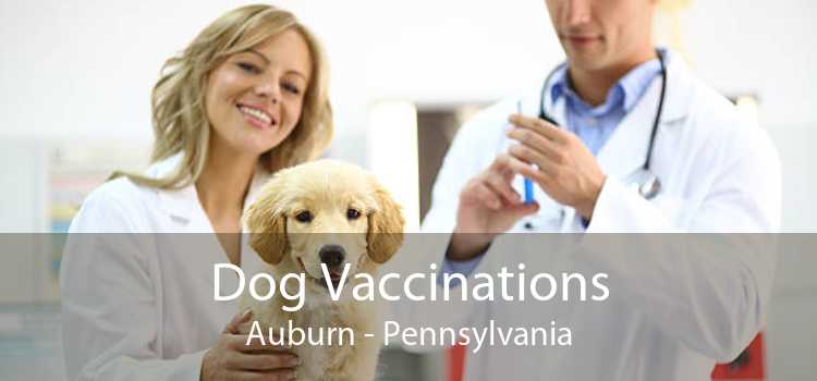 Dog Vaccinations Auburn - Pennsylvania