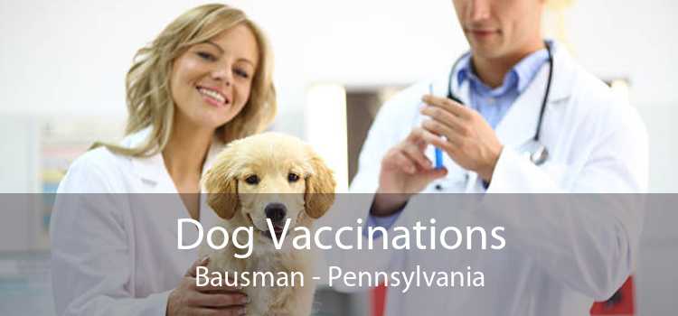Dog Vaccinations Bausman - Pennsylvania