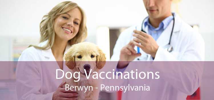 Dog Vaccinations Berwyn - Pennsylvania