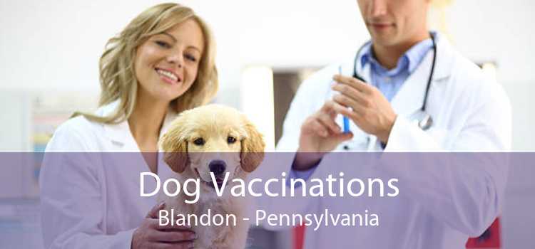 Dog Vaccinations Blandon - Pennsylvania