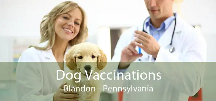 Dog Vaccinations Blandon - Pennsylvania