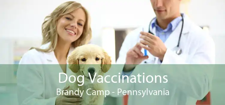Dog Vaccinations Brandy Camp - Pennsylvania