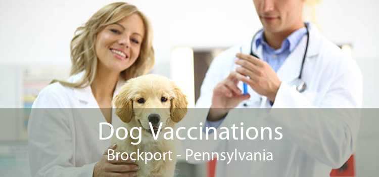 Dog Vaccinations Brockport - Pennsylvania