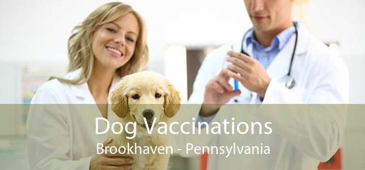 Dog Vaccinations Brookhaven - Pennsylvania
