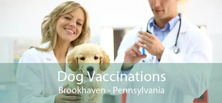 Dog Vaccinations Brookhaven - Pennsylvania
