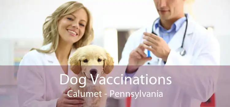 Dog Vaccinations Calumet - Pennsylvania