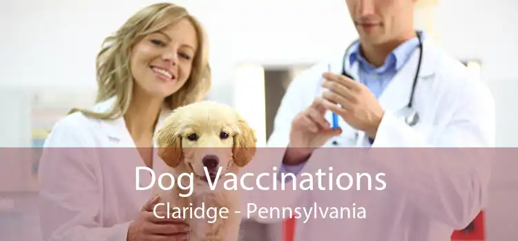 Dog Vaccinations Claridge - Pennsylvania
