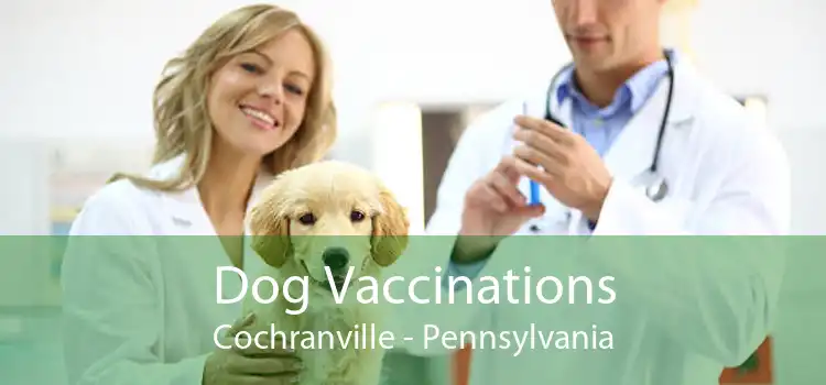 Dog Vaccinations Cochranville - Pennsylvania