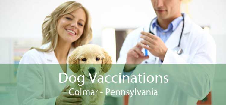 Dog Vaccinations Colmar - Pennsylvania