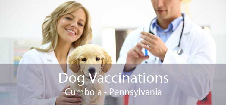 Dog Vaccinations Cumbola - Pennsylvania