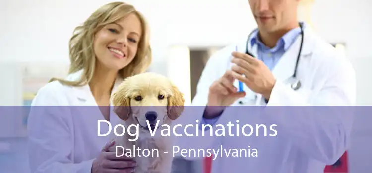 Dog Vaccinations Dalton - Pennsylvania