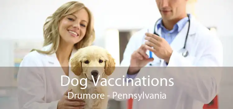 Dog Vaccinations Drumore - Pennsylvania