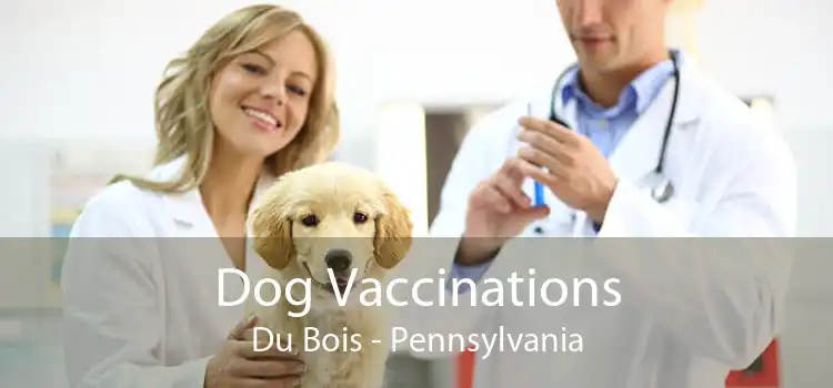 Dog Vaccinations Du Bois - Pennsylvania