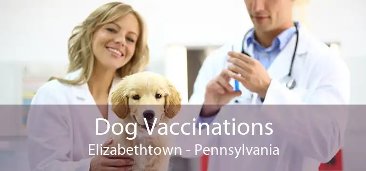 Dog Vaccinations Elizabethtown - Pennsylvania