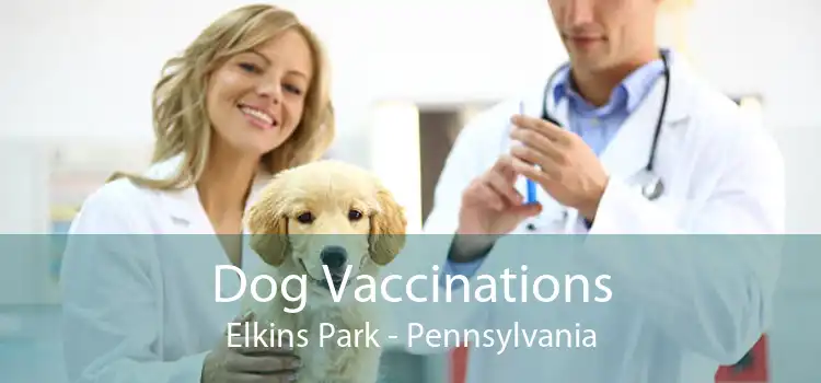 Dog Vaccinations Elkins Park - Pennsylvania