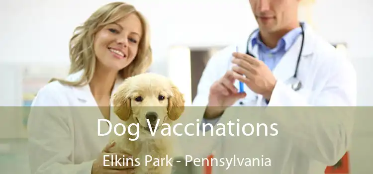 Dog Vaccinations Elkins Park - Pennsylvania