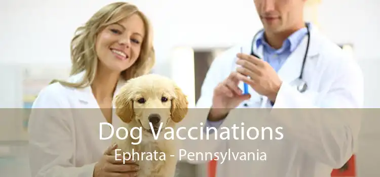 Dog Vaccinations Ephrata - Pennsylvania