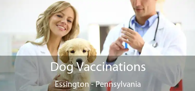 Dog Vaccinations Essington - Pennsylvania