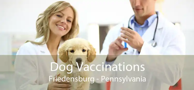 Dog Vaccinations Friedensburg - Pennsylvania