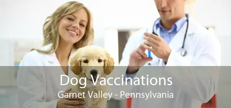 Dog Vaccinations Garnet Valley - Pennsylvania
