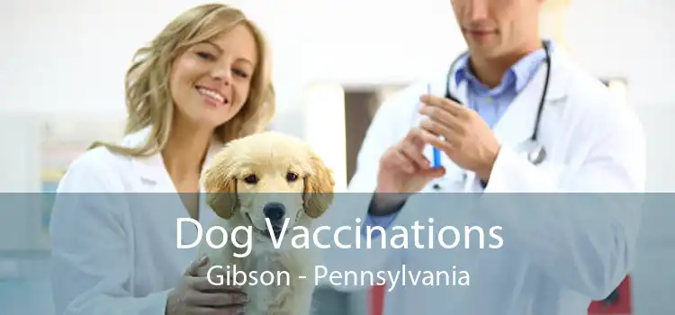 Dog Vaccinations Gibson - Pennsylvania