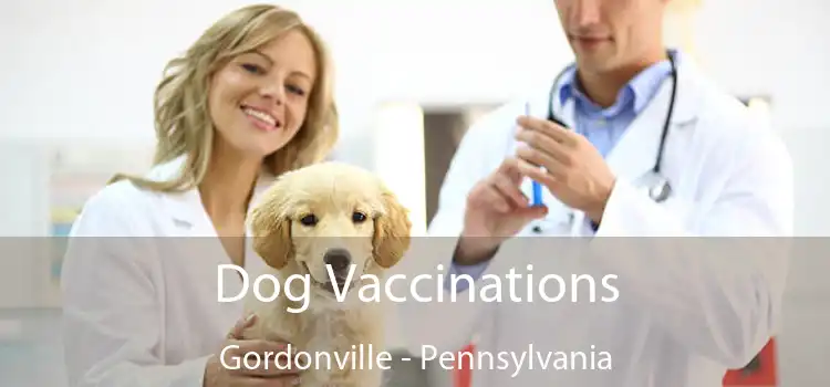 Dog Vaccinations Gordonville - Pennsylvania