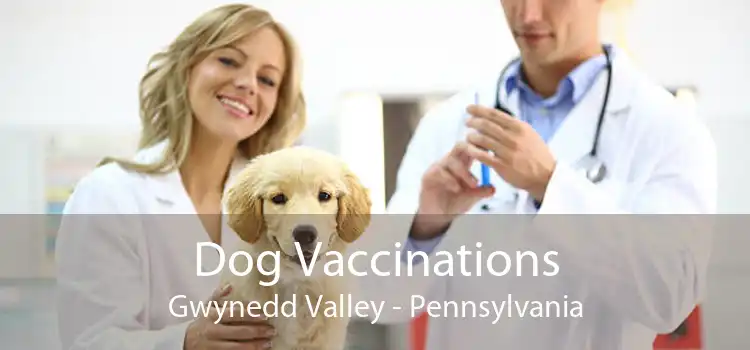 Dog Vaccinations Gwynedd Valley - Pennsylvania