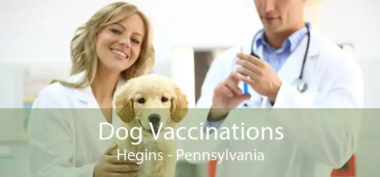 Dog Vaccinations Hegins - Pennsylvania