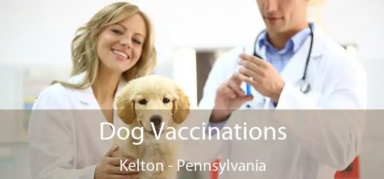 Dog Vaccinations Kelton - Pennsylvania