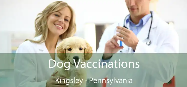 Dog Vaccinations Kingsley - Pennsylvania