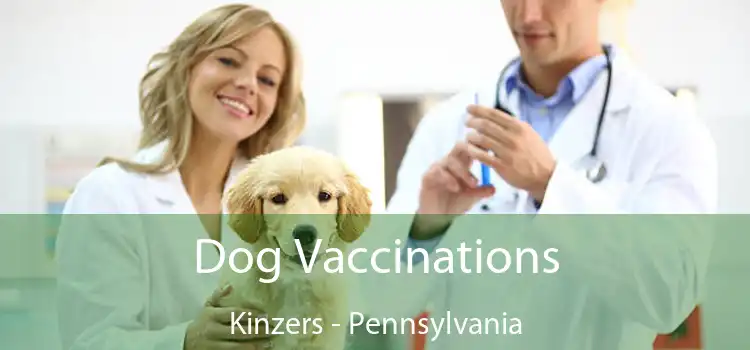 Dog Vaccinations Kinzers - Pennsylvania