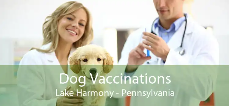 Dog Vaccinations Lake Harmony - Pennsylvania