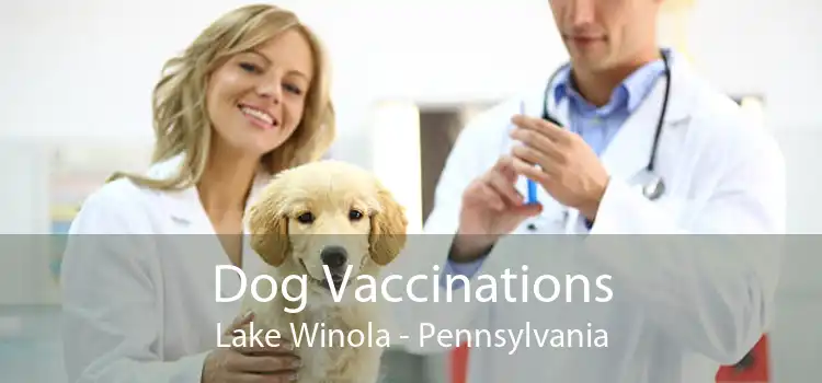 Dog Vaccinations Lake Winola - Pennsylvania