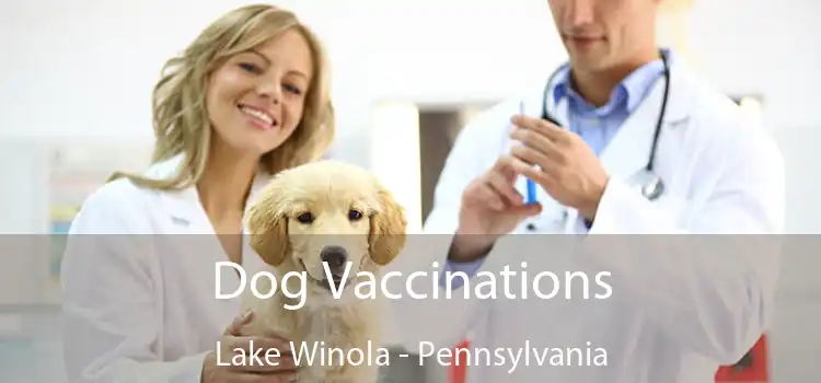 Dog Vaccinations Lake Winola - Pennsylvania