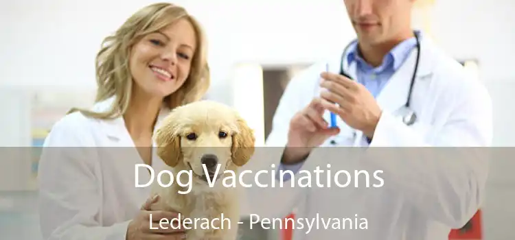 Dog Vaccinations Lederach - Pennsylvania