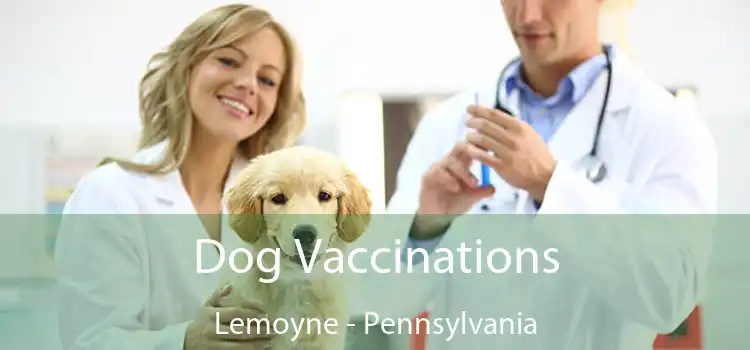 Dog Vaccinations Lemoyne - Pennsylvania