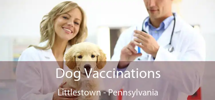Dog Vaccinations Littlestown - Pennsylvania