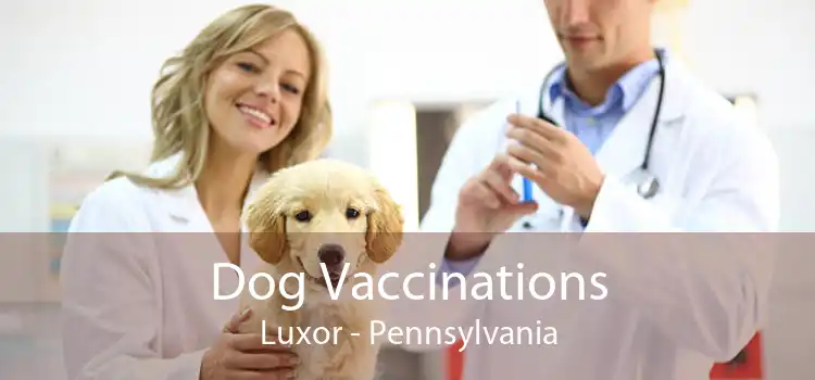 Dog Vaccinations Luxor - Pennsylvania