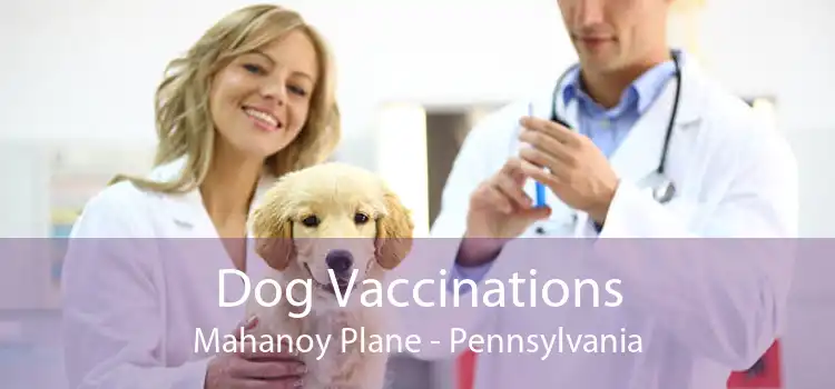 Dog Vaccinations Mahanoy Plane - Pennsylvania