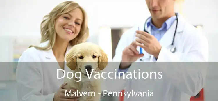Dog Vaccinations Malvern - Pennsylvania